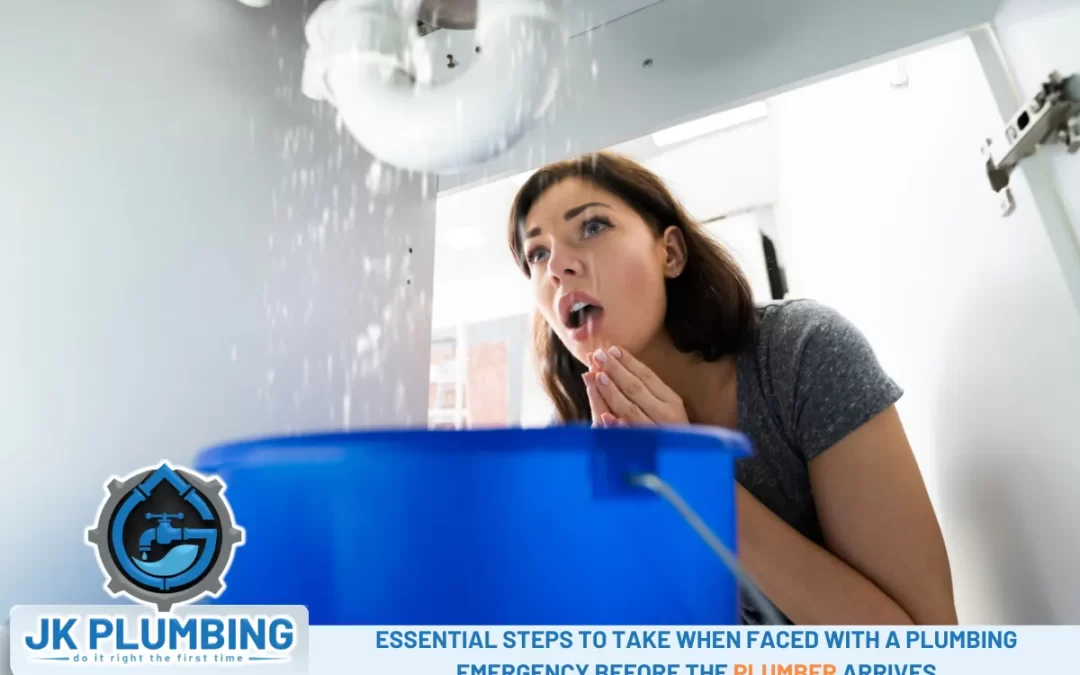 Essential Steps to Take When Faced with a Plumbing Emergency Before the Plumber Arrives
