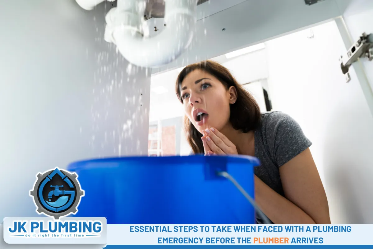 Essential Steps to Take When Faced with a Plumbing Emergency Before the Plumber Arrives