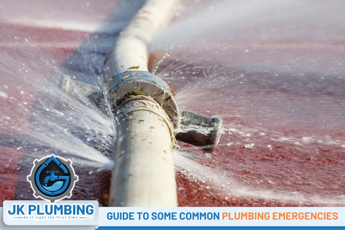 guide to some common plumbing emergencies