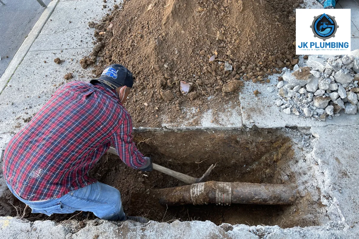 DIY vs. Professional Inspections